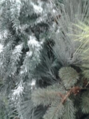 Sloth (USA-2) : 11​-30​-2013